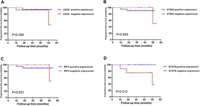 Expression of SASP, DNA Damage Response, and Cell Proliferation Factors in Early Gastric Neoplastic Lesions: Correlations and Clinical Significance